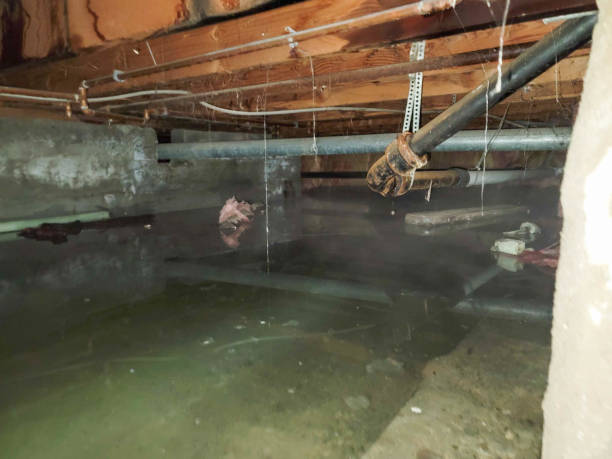 Professional Water damage restoration in TN