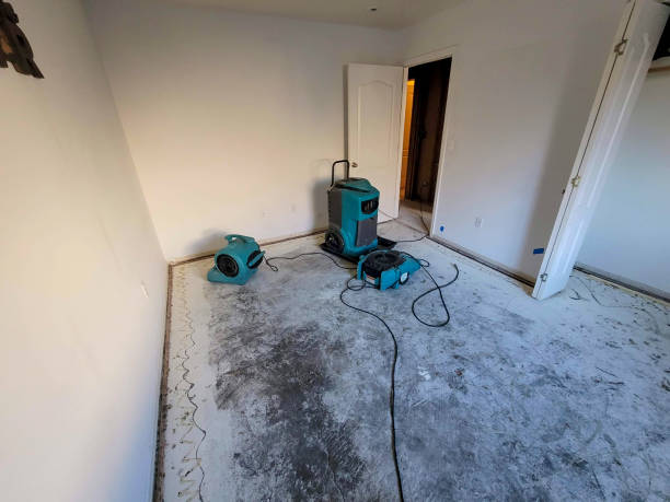 Best Residential water damage restoration  in Atoka, TN
