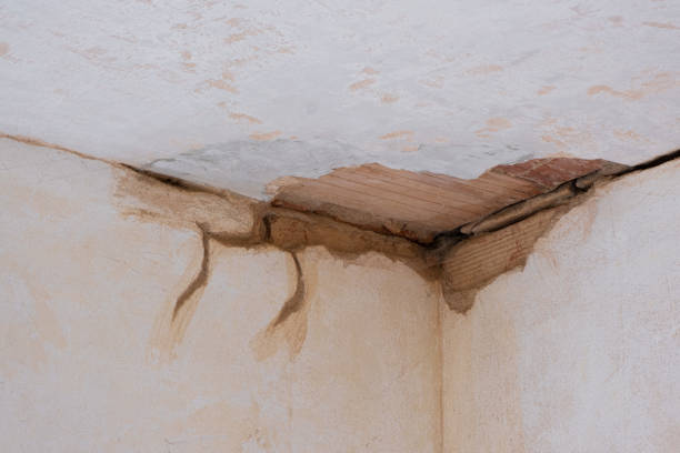 Best Ceiling water damage repair  in Atoka, TN