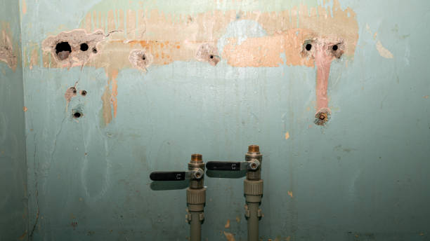 Best 24/7 water damage repair  in Atoka, TN