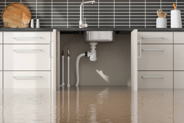 Best Flood restoration services  in Atoka, TN